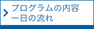 プログラムの内容・一日の流れ