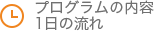 プログラムの内容 1日の流れ